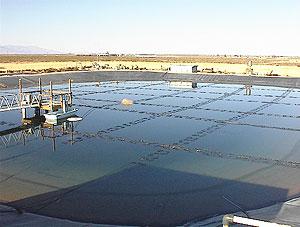 כיצד ניתן להפיק אנרגיה סולארית מבריכת שמש?