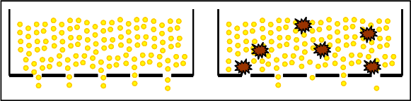 מה המנגנון המולקולרי המסביר אוסמוזה?