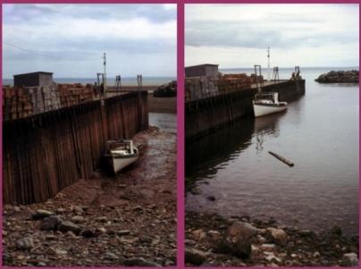 מהי הגדרתו של המושג מחזוריות בטבע ומה הסיבה או הגורמים להיווצרות היום והלילה? סאלי