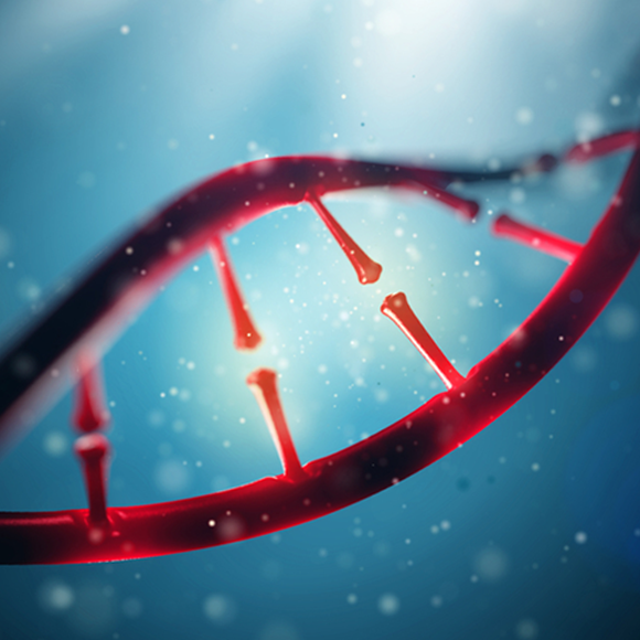 פרויקט הגנום האנושי