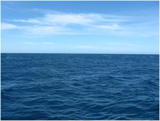 מדוע האוקיינוס כחול?