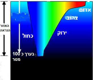 מדוע אור כחול חודר יותר עמוק למים מאור סגול? שירי