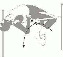 מהי ביומכאניקה וכיצד היא באה לידי ביטוי בגוף האדם בתהליך של קפיצה לגובה ?עומר
