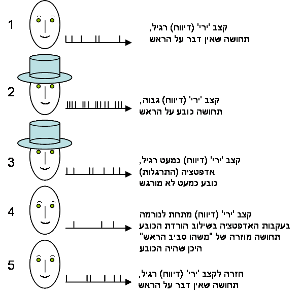 למה אחרי חבישת כובע ממושכת מרגישים שהוא עדיין על הראש?