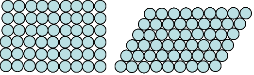 מה זה פולימורפיזם?