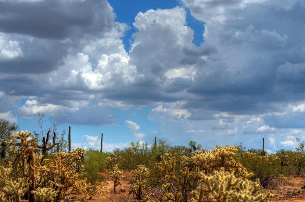 מדבר בצל גשם