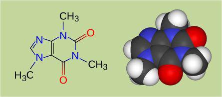 אני מבין מדוע צמח יוצר צוף מתוק אבל מה היתרון לצמח ביצירת קפאין? עודד