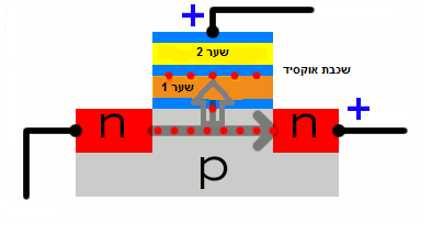 איך המידע על דיסק-און-קי לא נמחק אחרי שמוציאים אותו מהחשמל? דוד