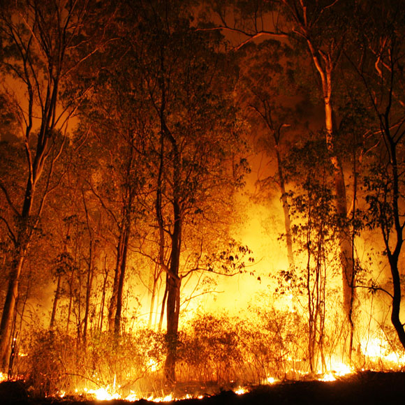 האם קיימת אש קרה? הלט