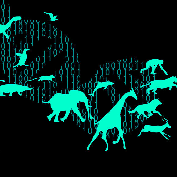 אבולוציה בעידן המודרני