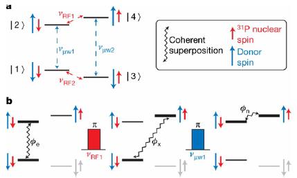 זיכרון קוונטי – פתרון לזמן החיים הקצר של המידע הקוונטי