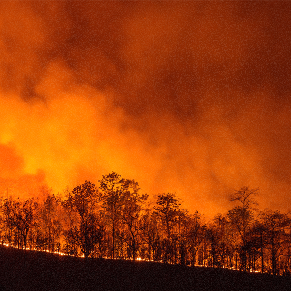 האש והתפשטות השריפה