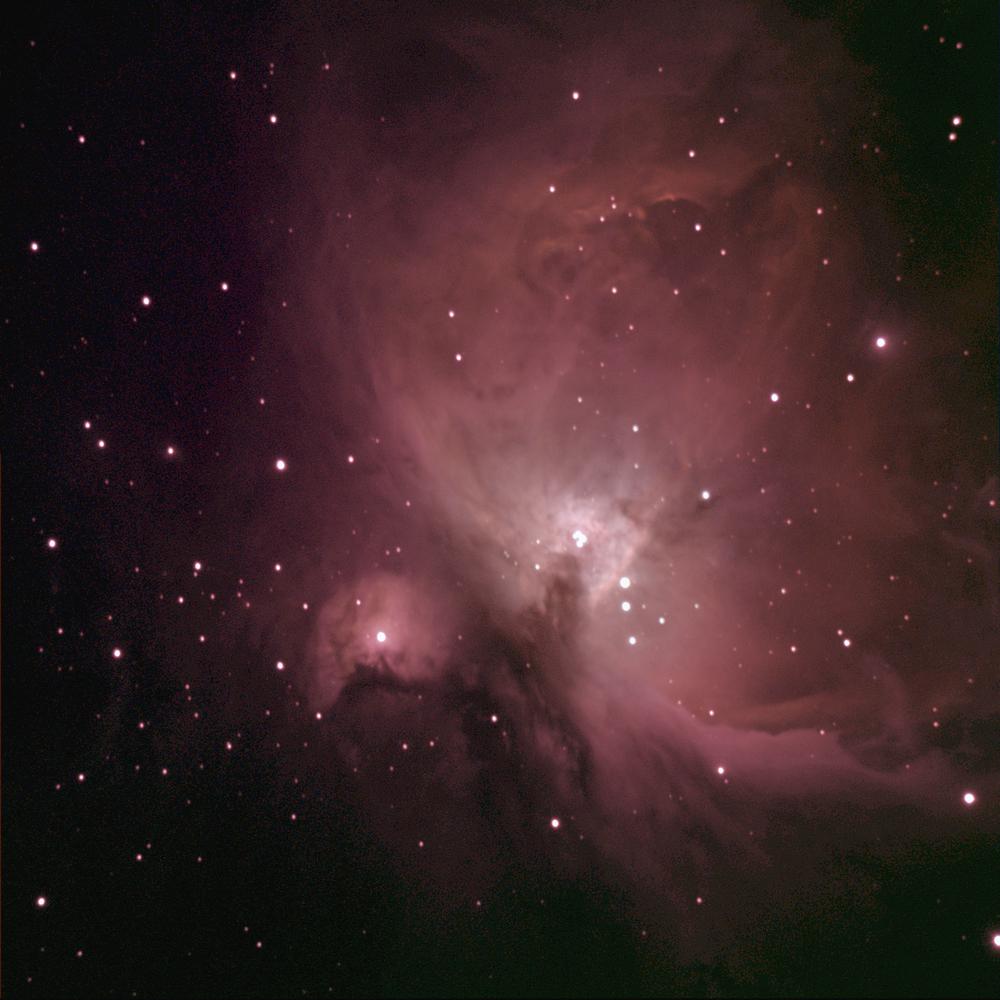 ערפילית אוריון