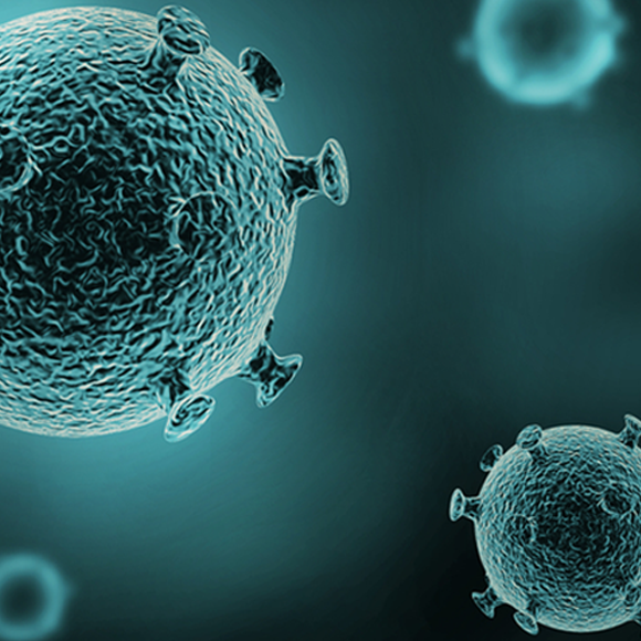 איך הגוף מזהה פלישת וירוסים?