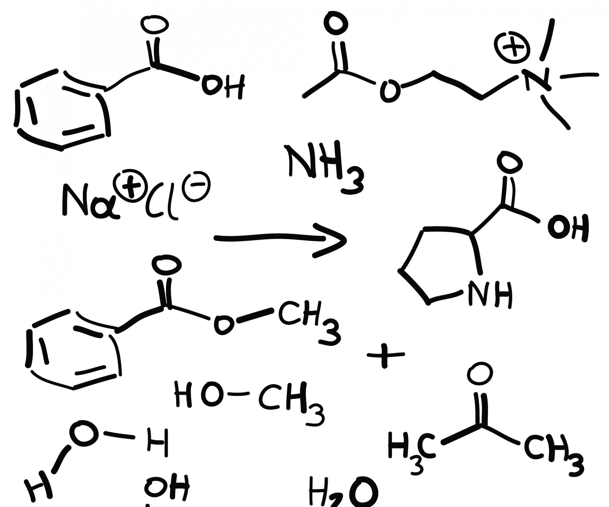תגובות וקצבים