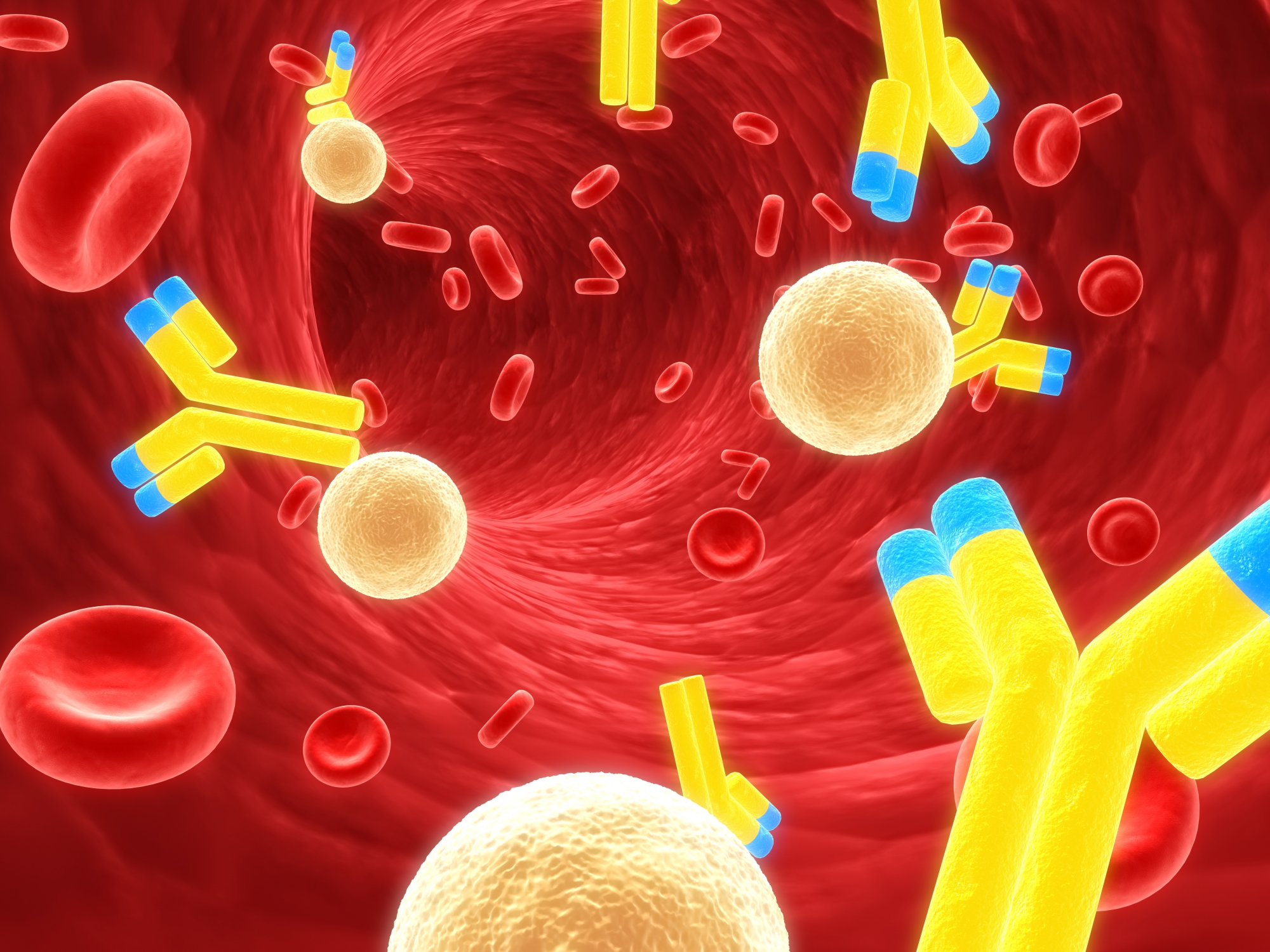 שילוב כוחות של התגובה החיסונית המורשת והנרכשת