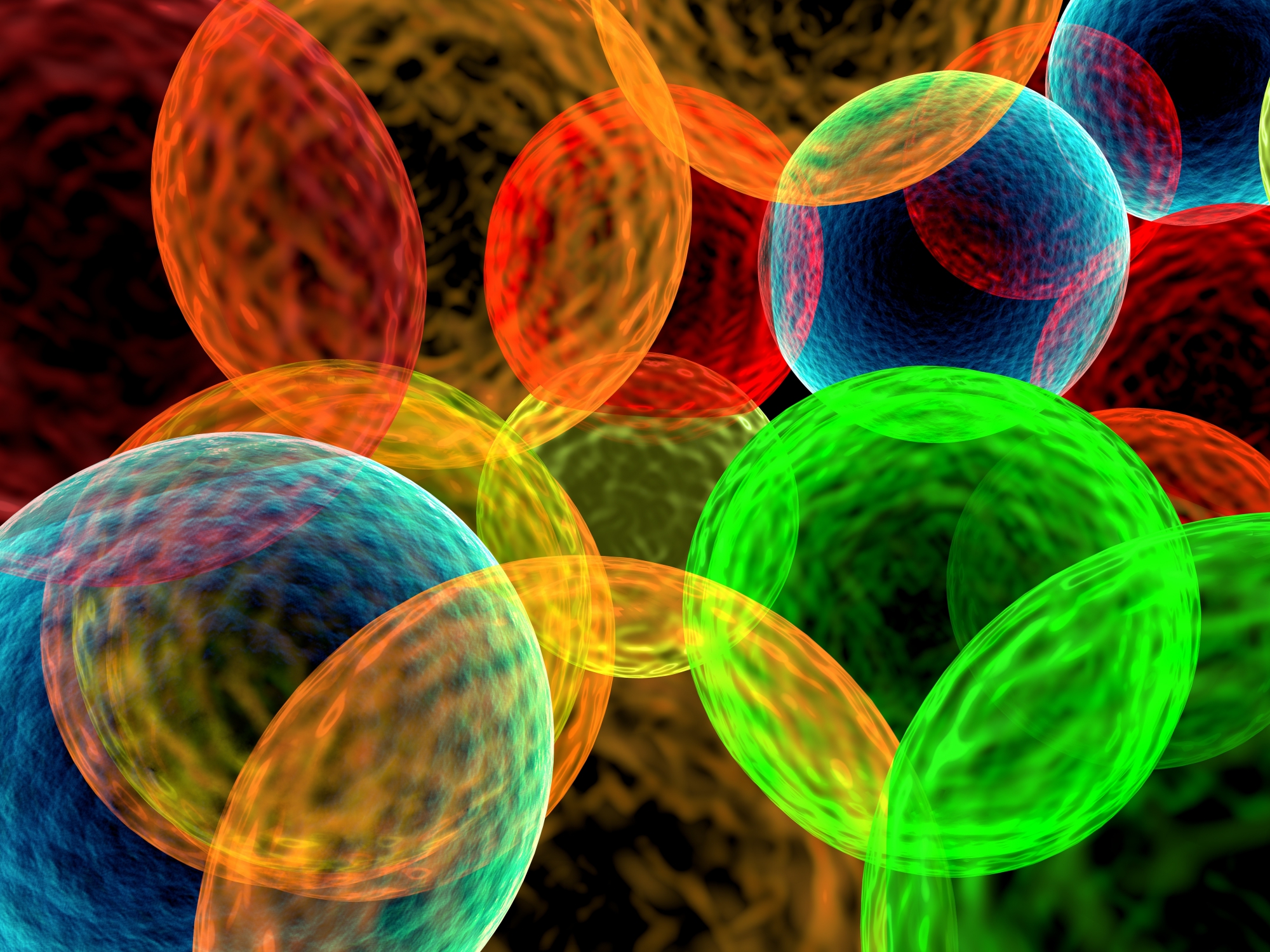 סמנים פלורסנטים לתהליכים ביולוגים