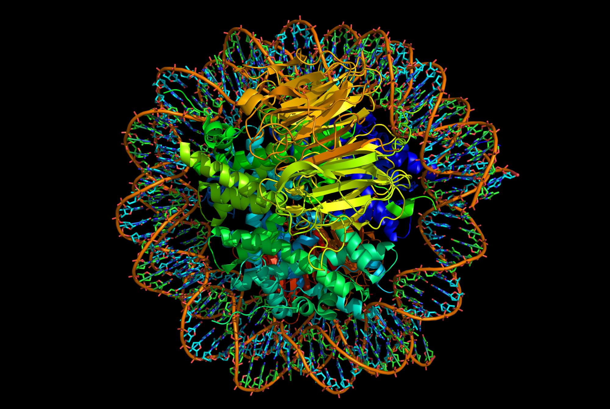 ריכוז סרטונים – כל השלבים מגן לחלבון