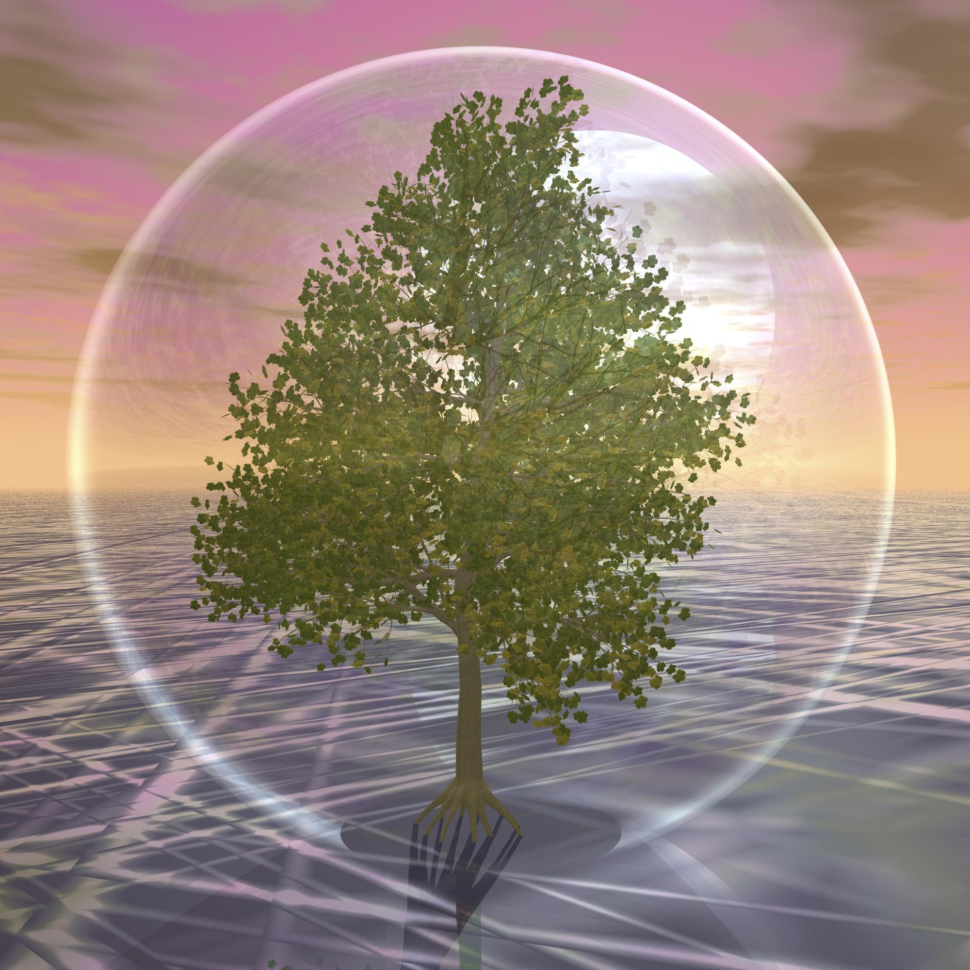 ניטור רמות פחמן דו חמצני ביער יתיר