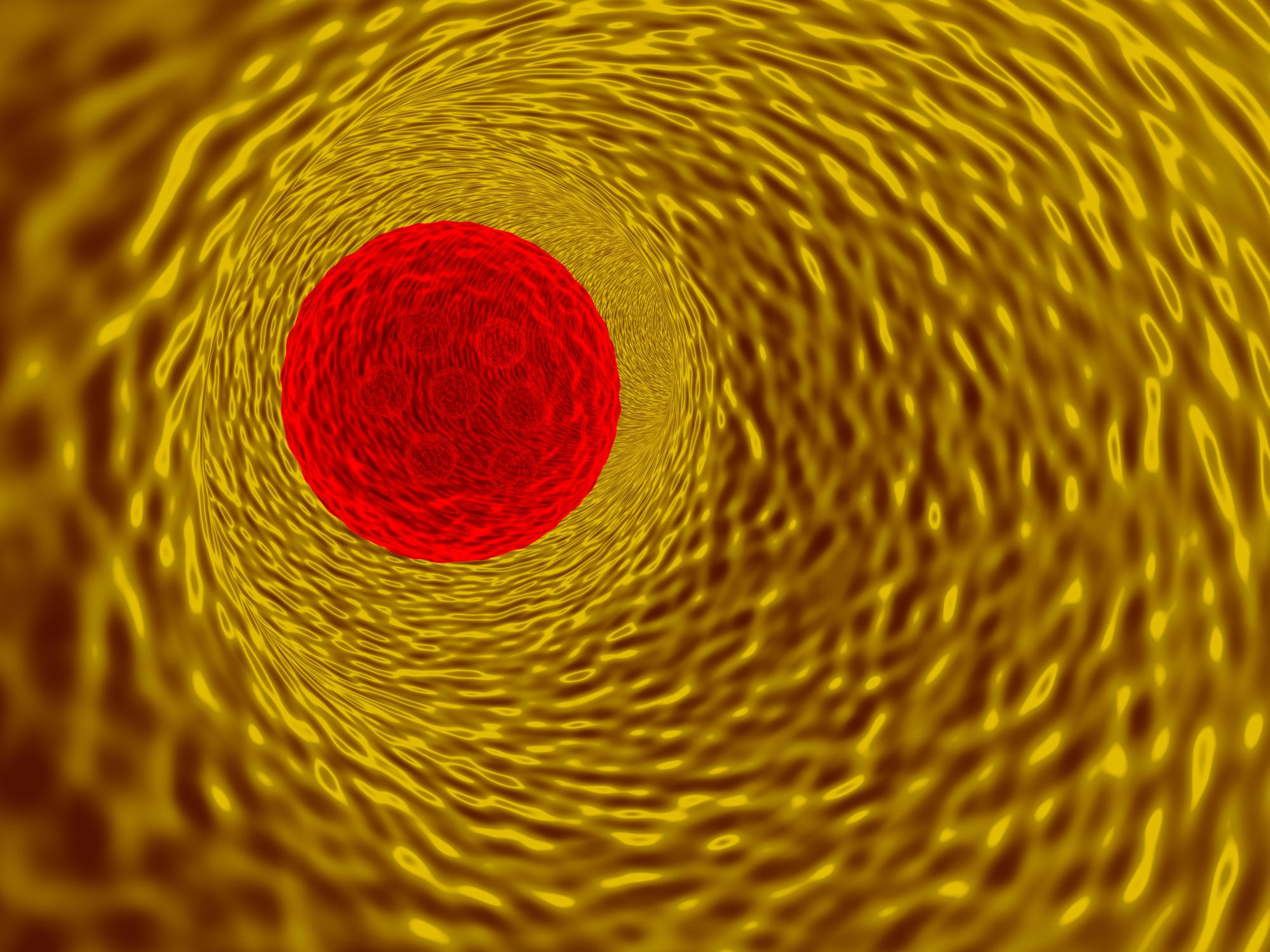 כימוטקסיס – בעקבות שביל פירורי הלחם