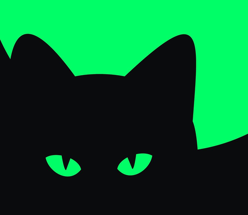 החתול הקוסם