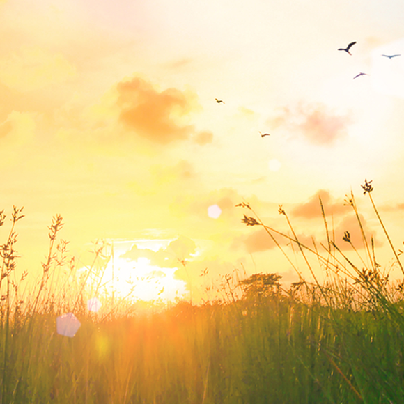 Why is August the hottest month of the year? Ofer