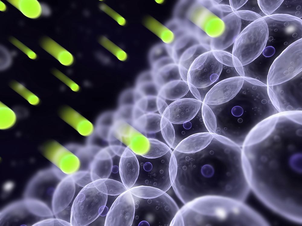 רדיקלים חופשיים ומעכבי חמצון