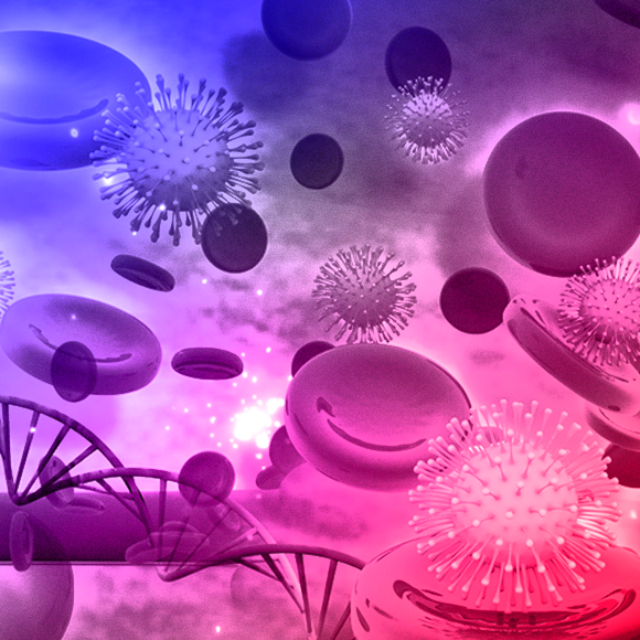 A species odyssey – from one small cell, to mankind