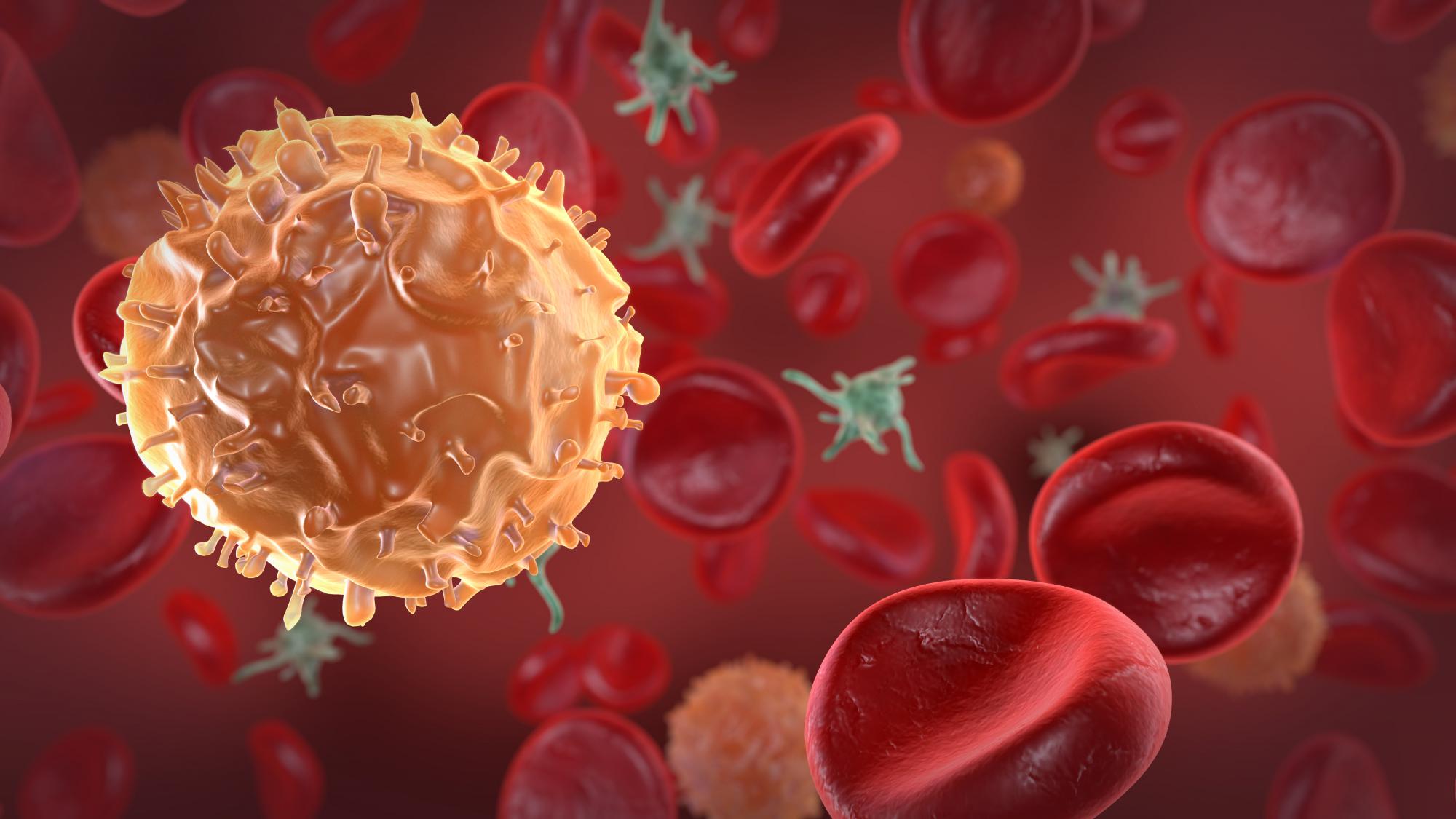 תנועת תאי דם לבנים