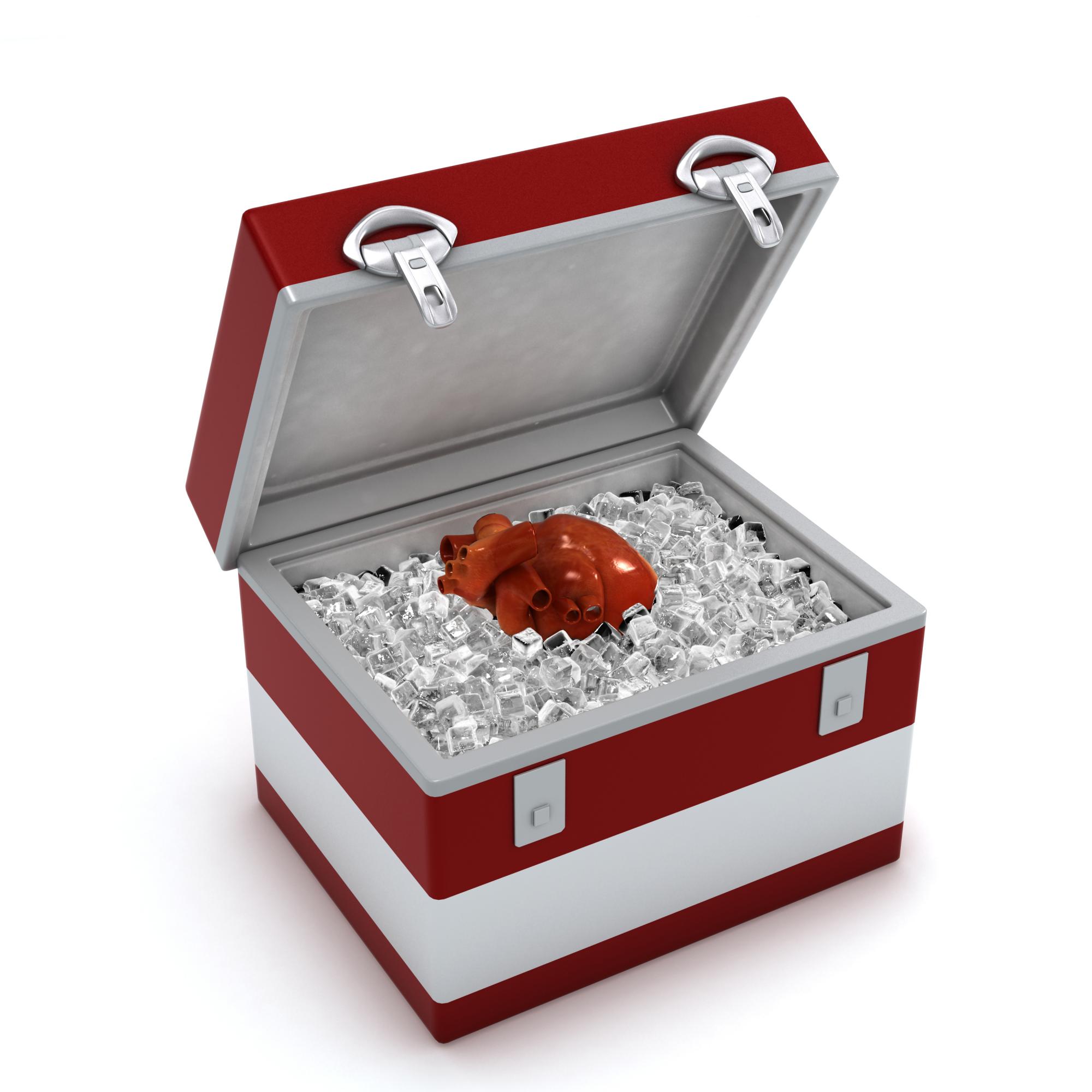 דיכוי מערכת החיסון בתהליך השתלת איברים