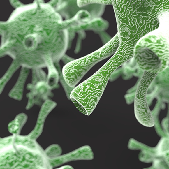 Viral attack strategies