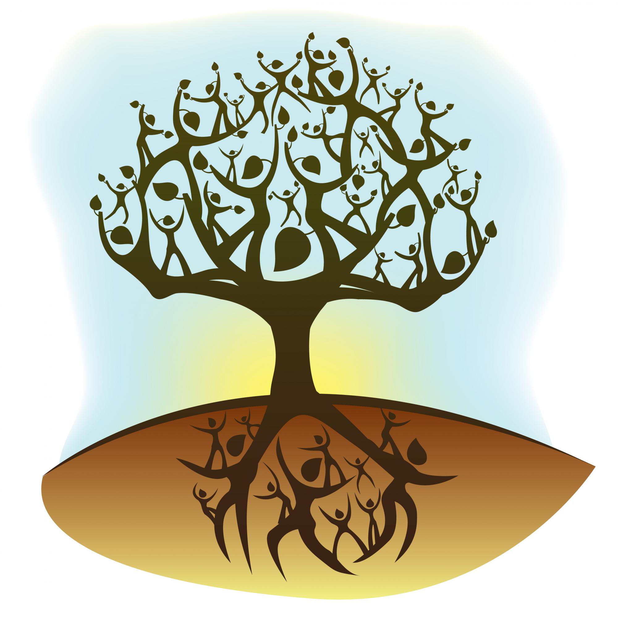 The tree of life and common origin
