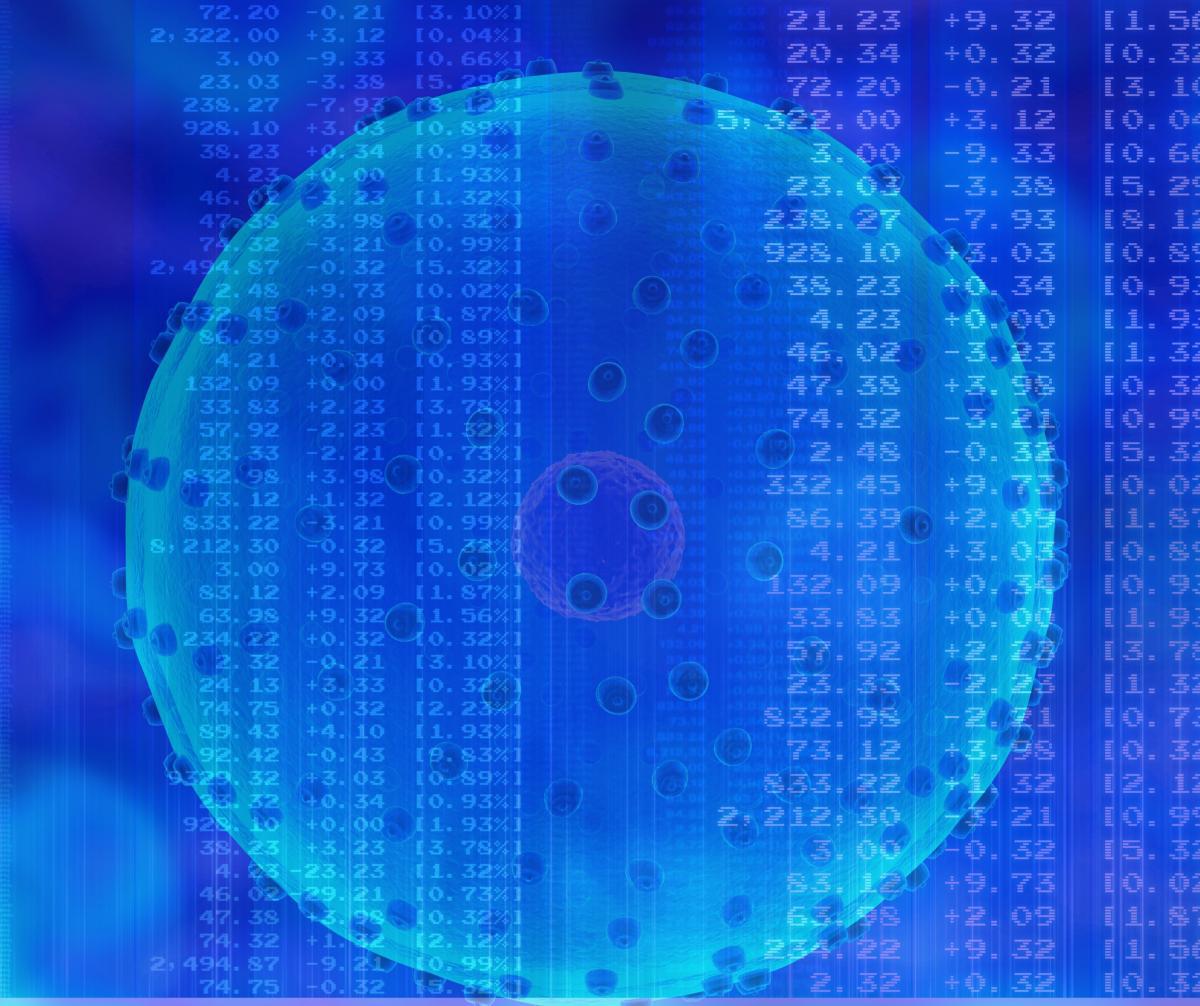 מודל מתמטי עשוי לשפר את בטיחות הטיפול בכימותרפיה