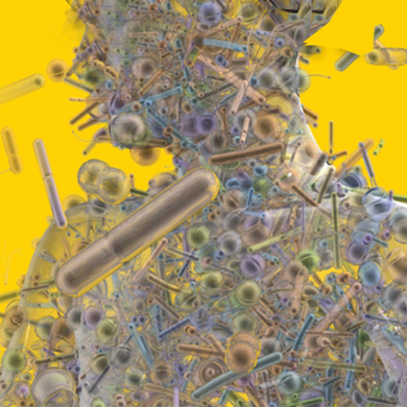 הרשת החברתית המושלמת