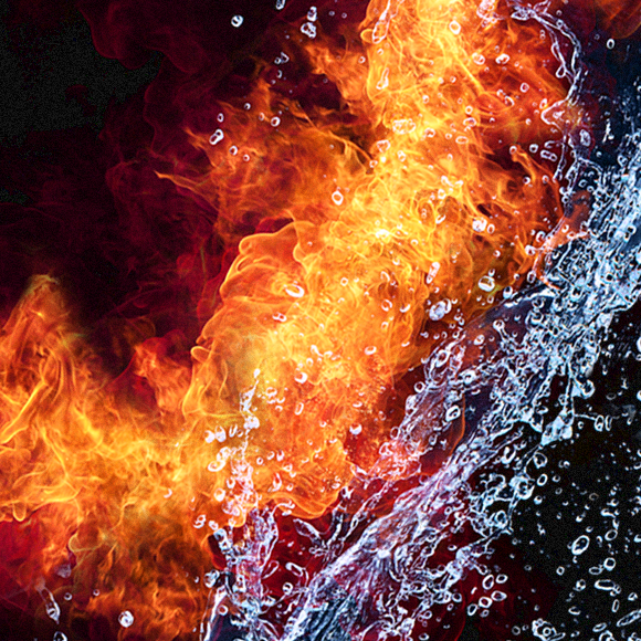 TRP channels – so hot, so cool