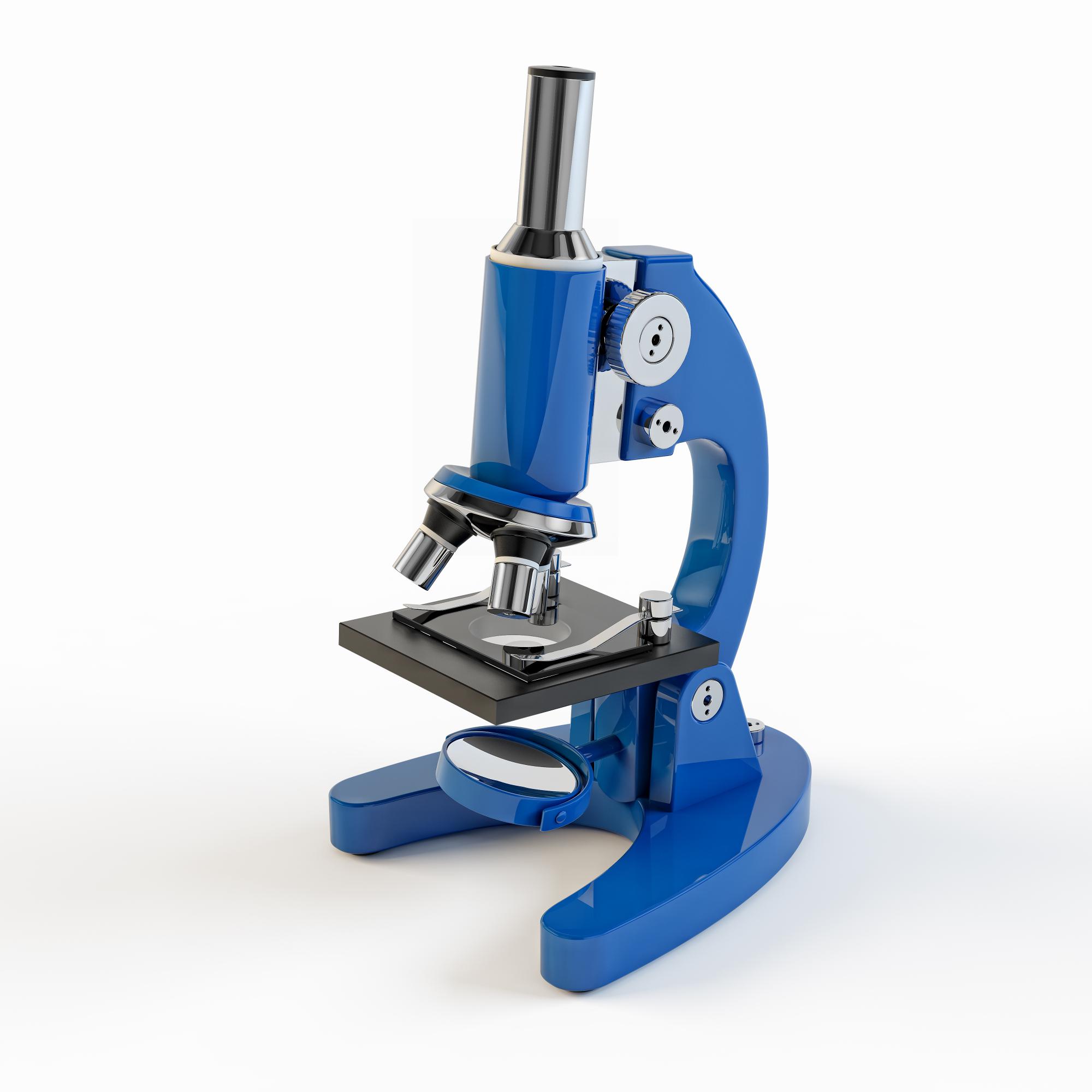 דברים בהגדלה