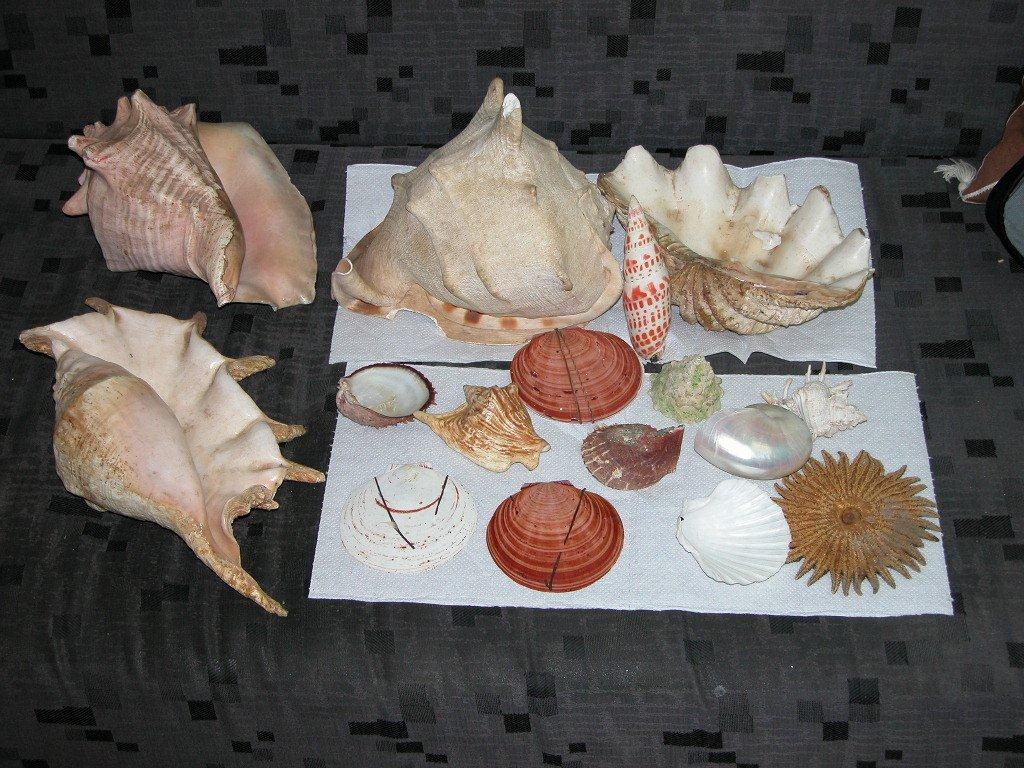 וכך הגעתי להוראה…