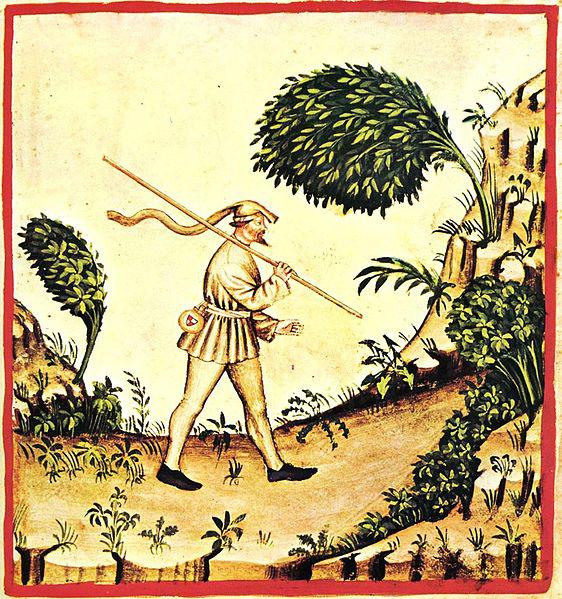 למה רוח מרגישה קרה – והאם אפשרי שרוח תגרום להרגשה חמה? אבישי