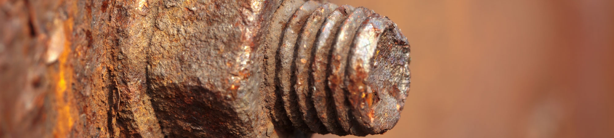 חלודה – התפתחותה והשלכותיה