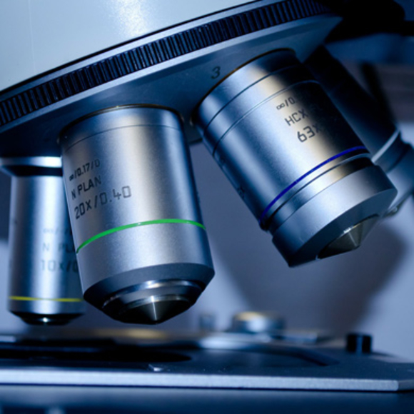 האם מחקרי תרופות אמינים?