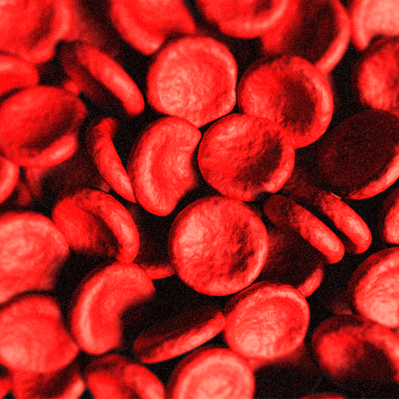 מחשבון סוג הדם