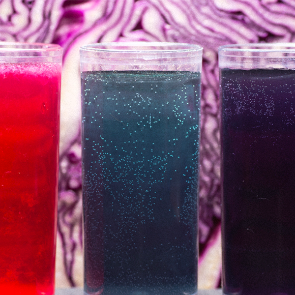 Color-Changing Cabbage