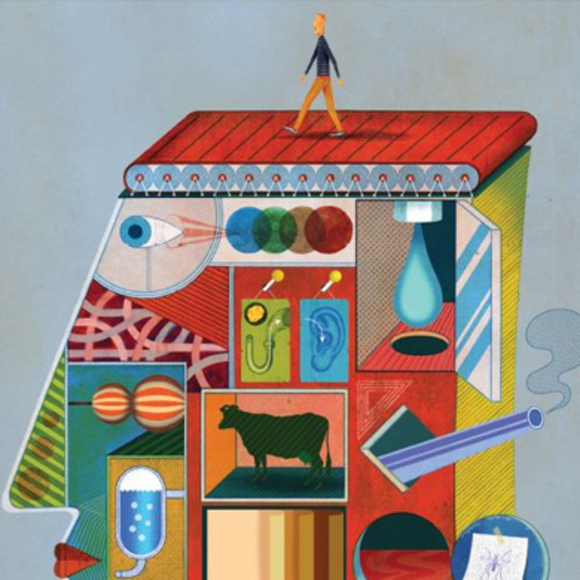 והאבולוציה עדיין נמשכת (אחרי כל כך הרבה שנים)