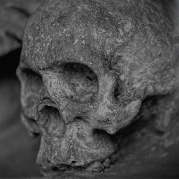 סיפור המסע האנושי – האבולוציה נכתבת מחדש