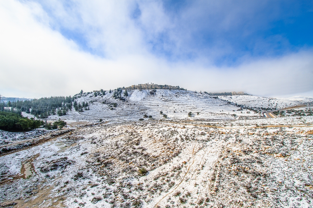 מה ההבדל בין שלג לברד?