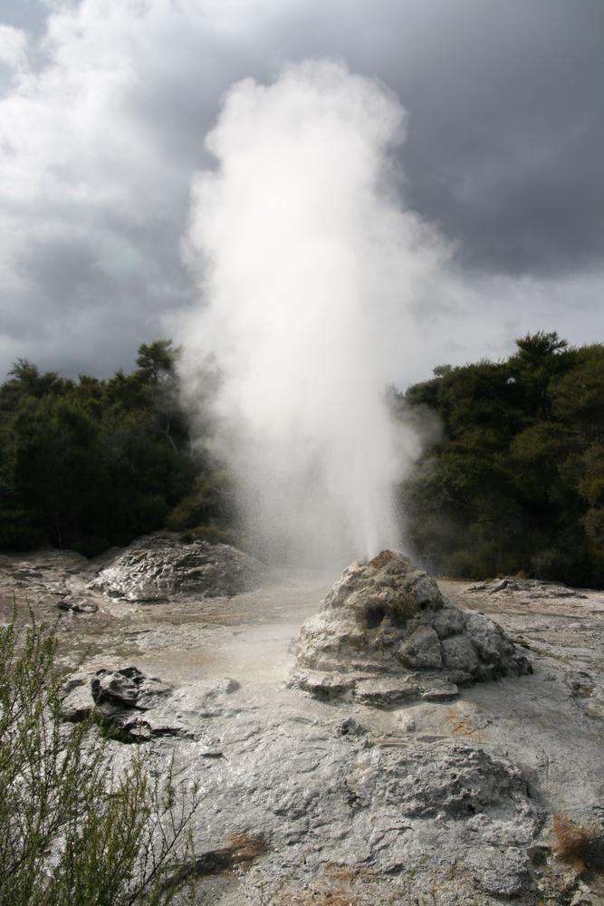 מעיינות החיים