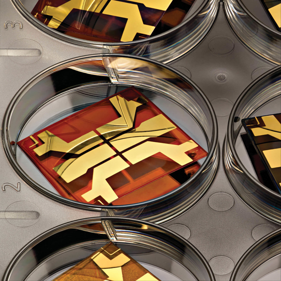 היורש הזוהר של הסיליקון