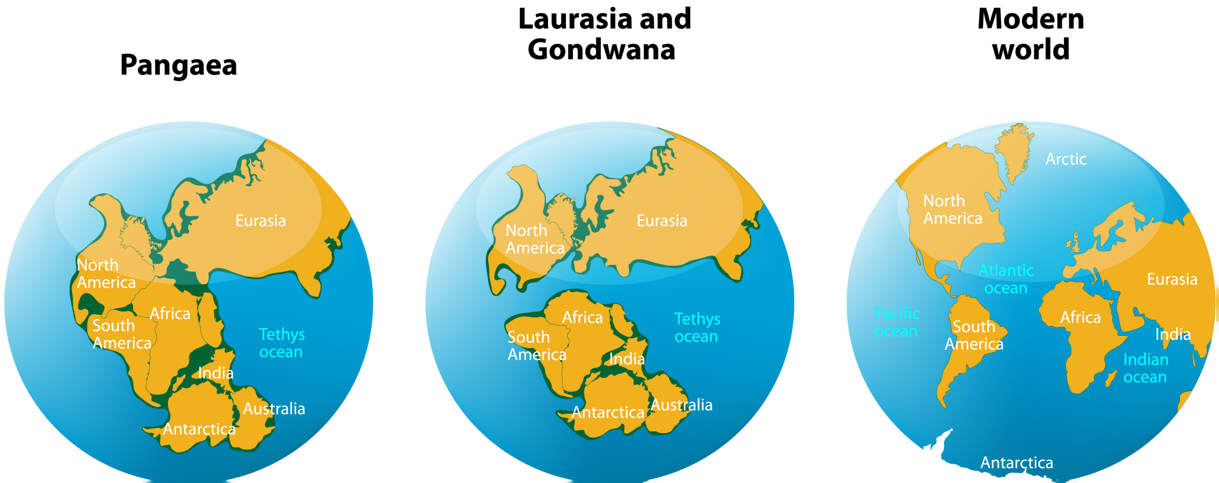 לאן הודו ממהרת?