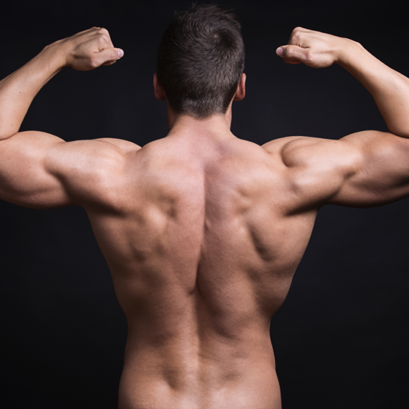 מה ההבדל בין שריר קרוע ותפוס? יובל