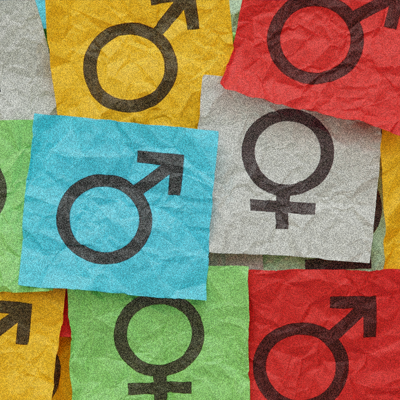 איך נוצרים מינים חדשים של בעלי חיים וצמחים?